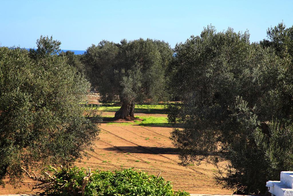 Masseria Pittore Savelletri Bagian luar foto